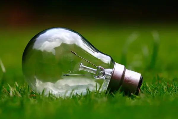Zielona energia – jak działają dwa podstawowe rodzaje – wiatrowa i słoneczna